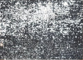 Backdrop Hire