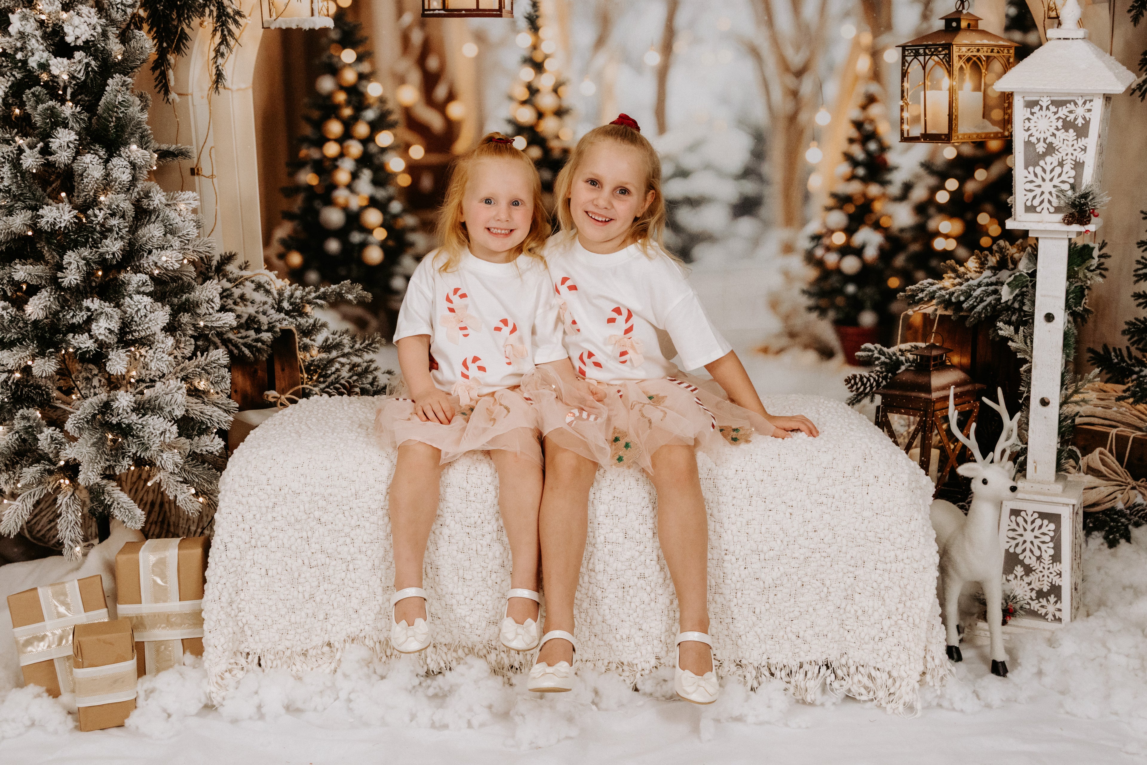 Christmas Minis